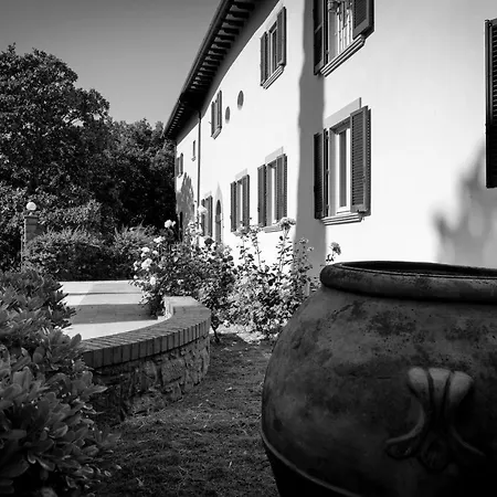D'epoca Carniani أريتسو