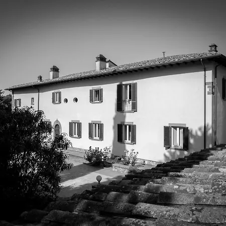 D'epoca Carniani Arezzo