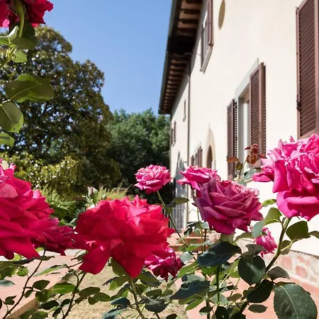 D'epoca Carniani * Arezzo