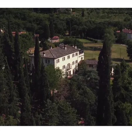 D'epoca Carniani فيلة أريتسو